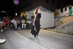 IMG_3976-scaled